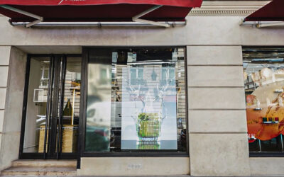 Baccarat – Écran LED vitrine à Paris