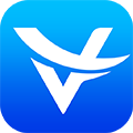 logo-Viplex Logo Viplex